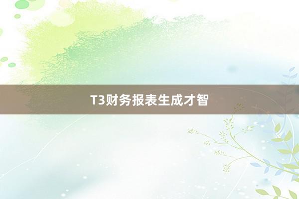 T3财务报表生成才智