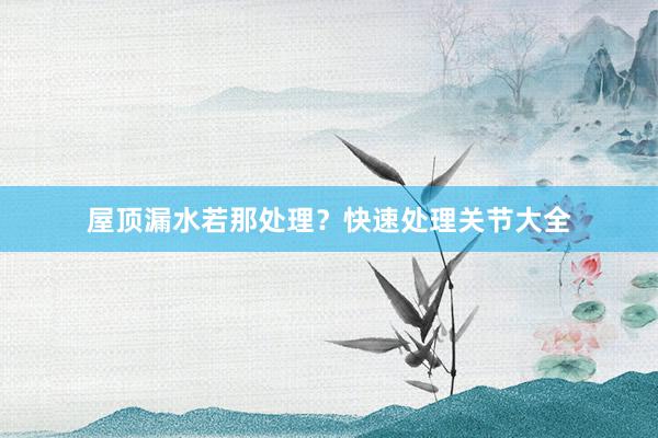 屋顶漏水若那处理？快速处理关节大全